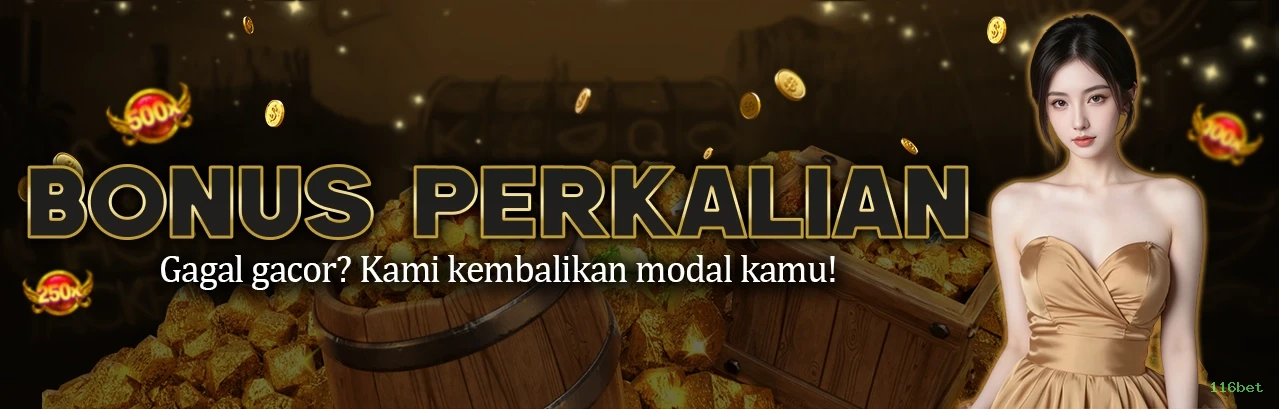 Imagem promocional da 116bet mostrando a plataforma e suas vantagens